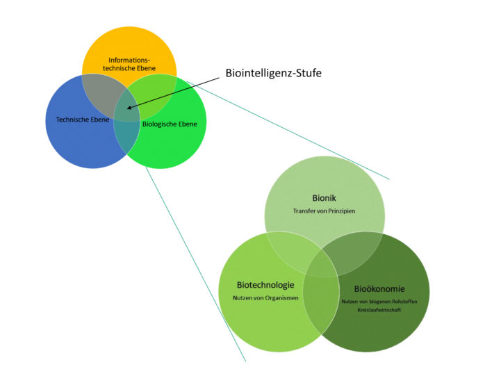 Stufen der Biointelligenz