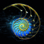 Biointelligenz